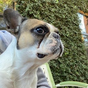 Meet your Posher, Gretta